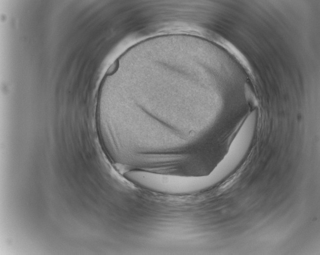 X0000086321102200704271911