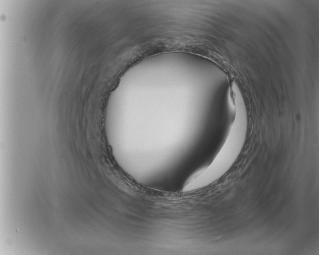 X0000086321153200704271910