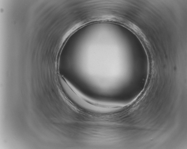 X0000086321234200704271909