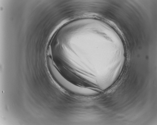 X0000086321235200704271909
