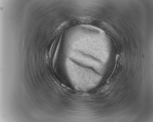 X0000086321298200704271907