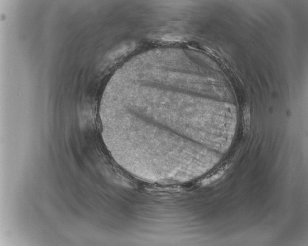 X0000086321300200704271907