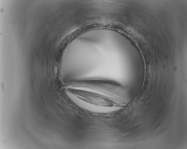 X0000086321302200704271907