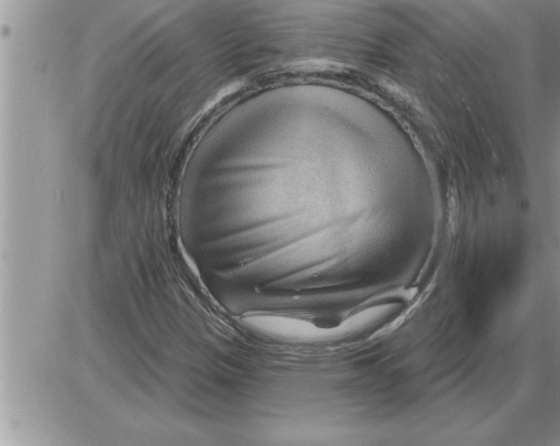 X0000086321305200704271907