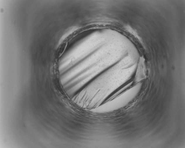 X0000086321352200704271907
