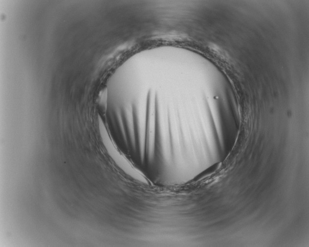 X0000086321398200704271906