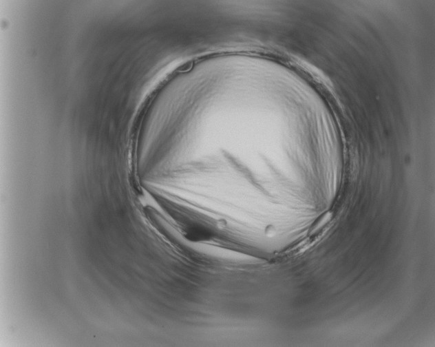 X0000086321415200704271906