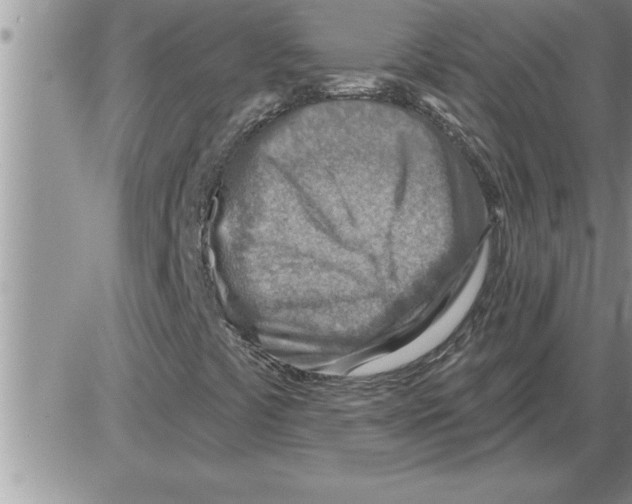 X0000086321441200704271905