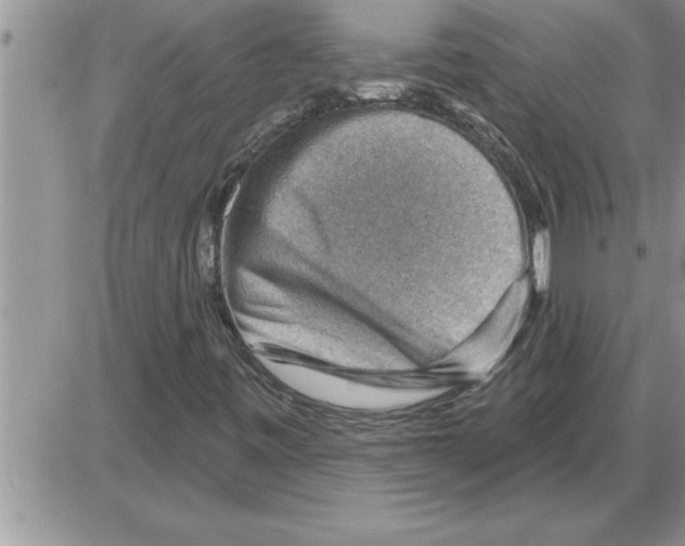 X0000086321443200704271905