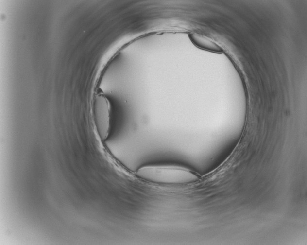 X0000086321488200704271905