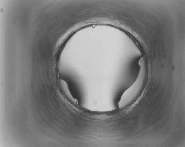 X0000086321502200704271904