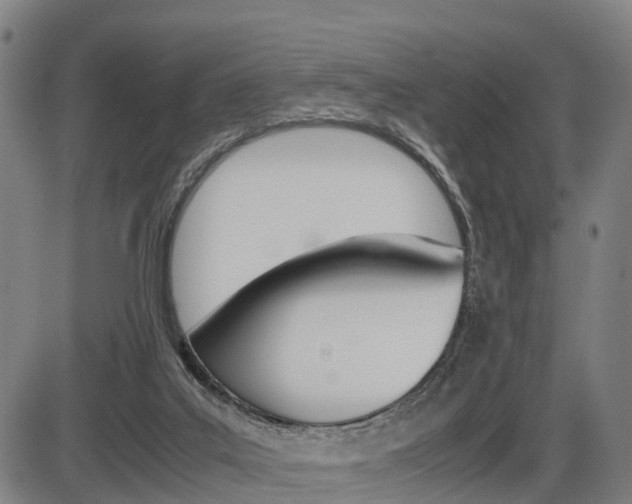 X0000086330019200703300942