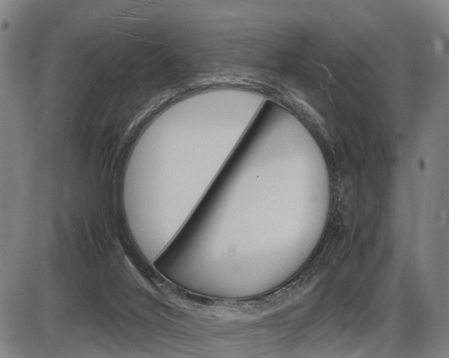 X0000086330020200703300942