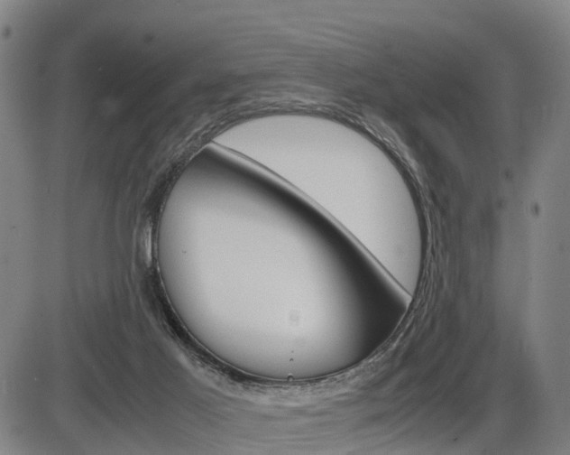X0000086330021200703300942