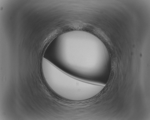 X0000086330023200703300942