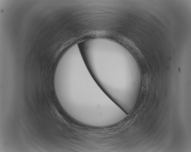 X0000086330024200703300942