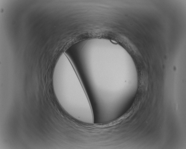X0000086330025200703300942