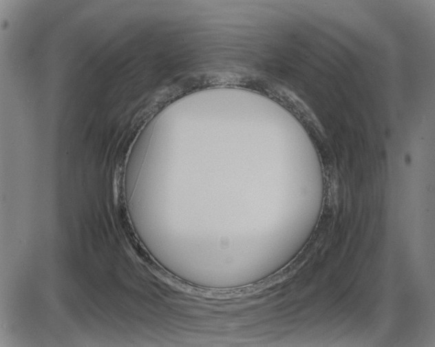 X0000086330026200703300942