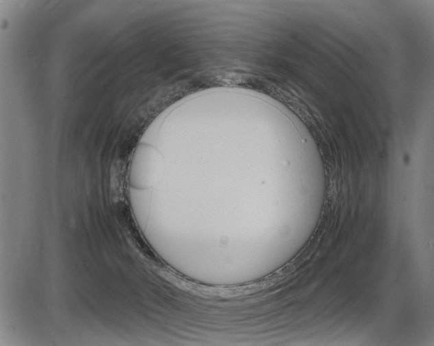 X0000086330030200703300942