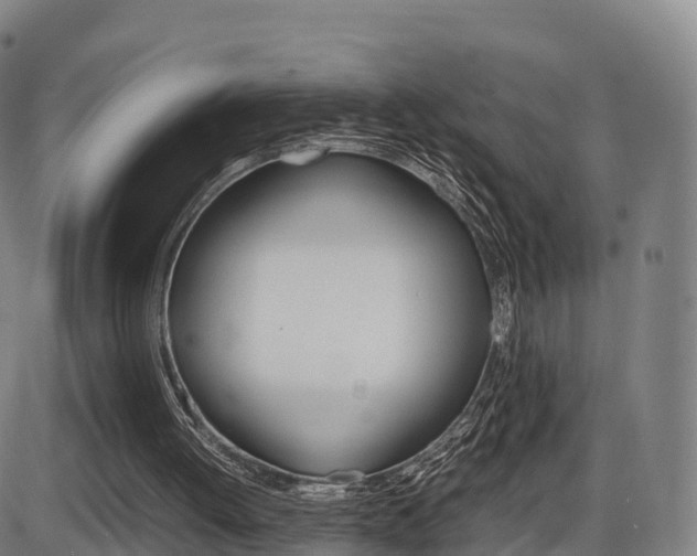 X0000086330052200703300941