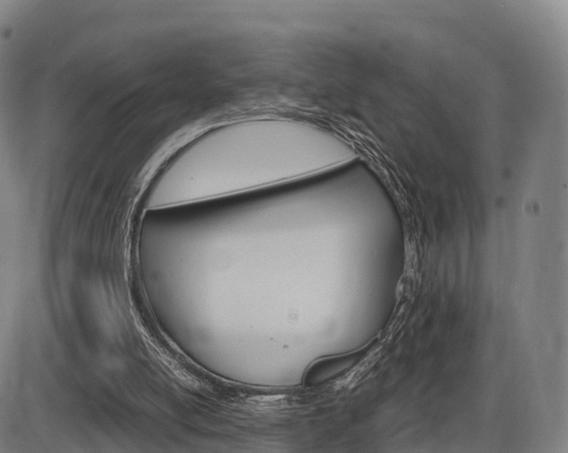 X0000086330054200703300941