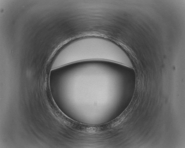 X0000086330064200703300941