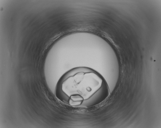 X0000086330068200703300941