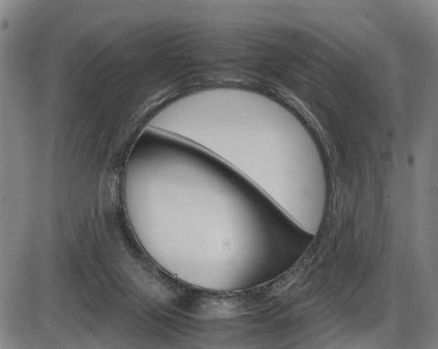 X0000086330071200703300942