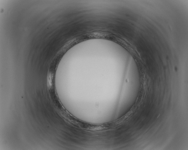 X0000086330075200703300942