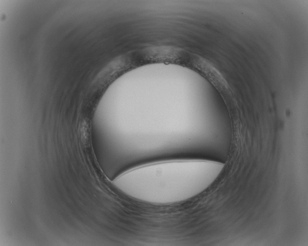X0000086330077200703300942