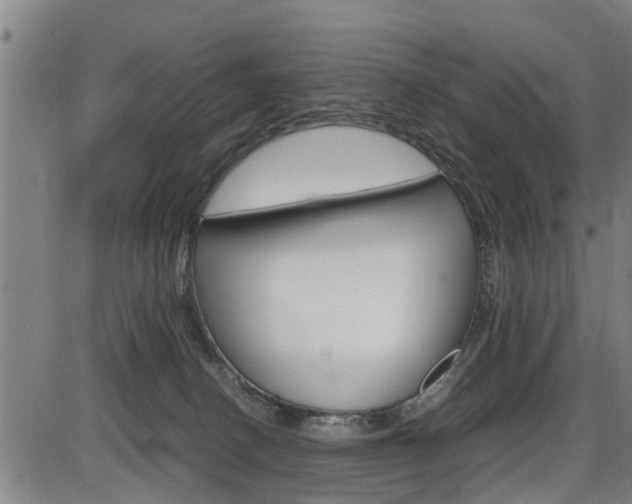 X0000086330082200703300942
