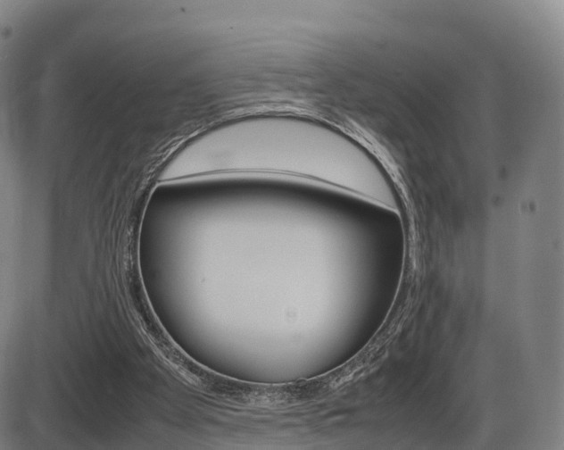 X0000086330105200703300941
