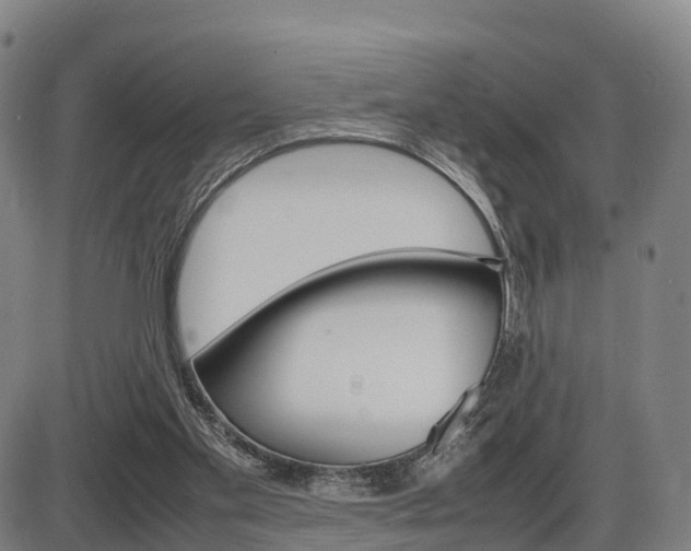 X0000086330109200703300941