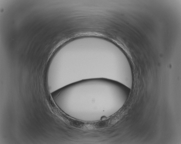 X0000086330111200703300941