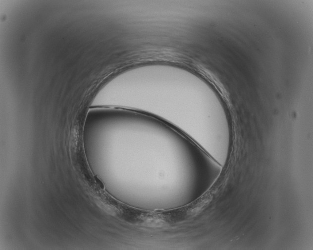 X0000086330113200703300941