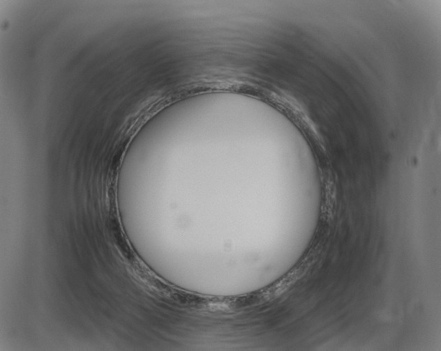 X0000086330114200703300941