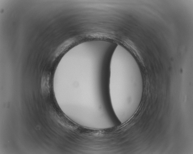 X0000086330116200703300941