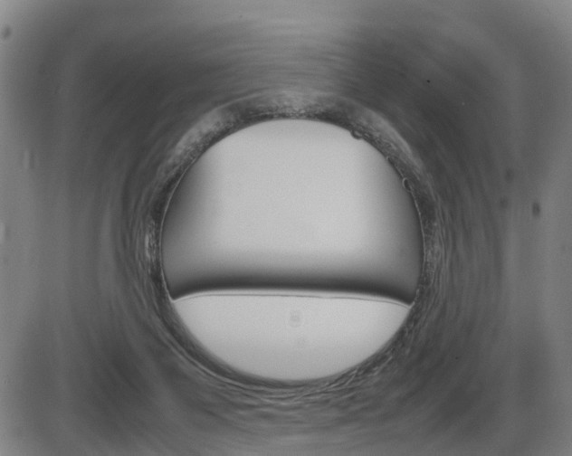 X0000086330119200703300941