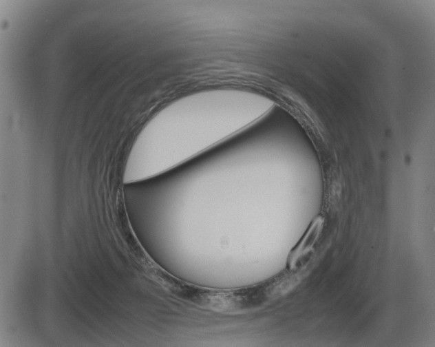 X0000086330121200703300941