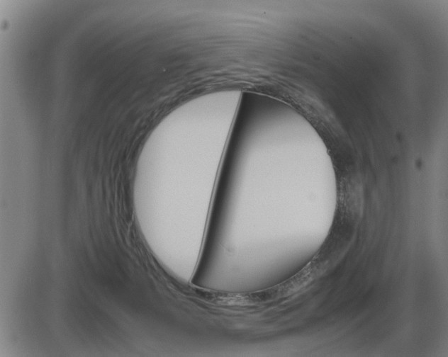X0000086330127200703300941