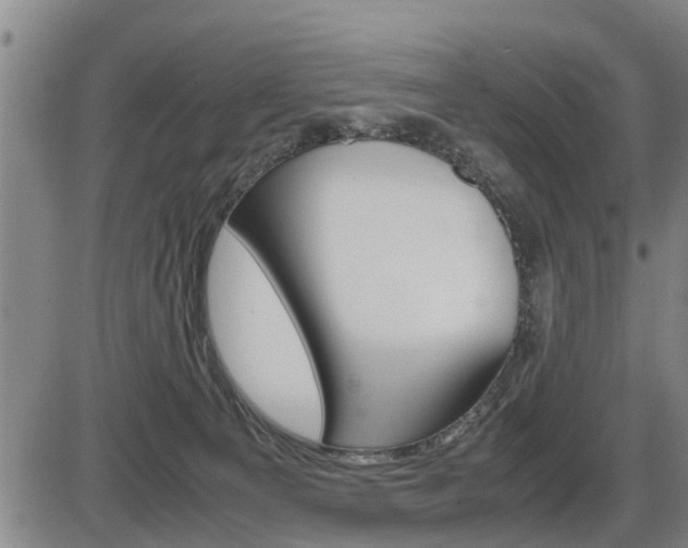 X0000086330129200703300941