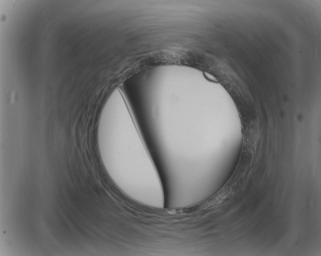 X0000086330131200703300941