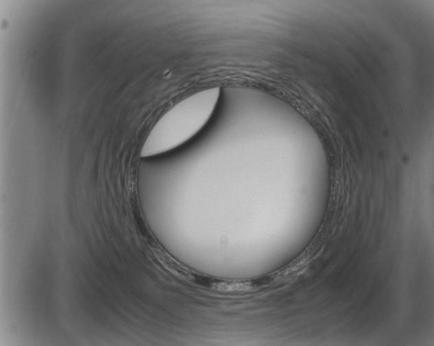 X0000086330135200703300941