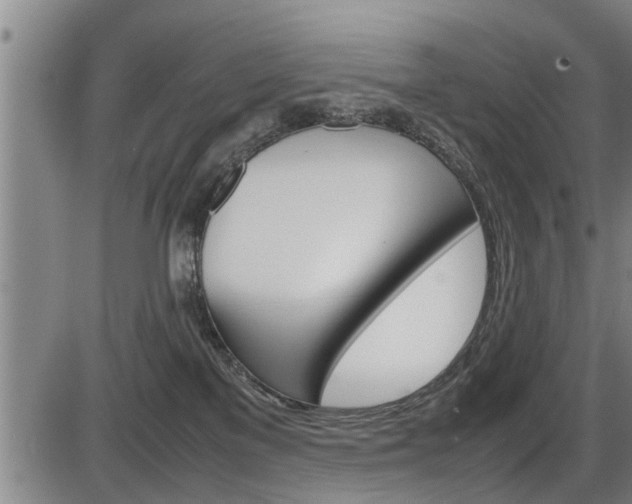 X0000086330137200703300940