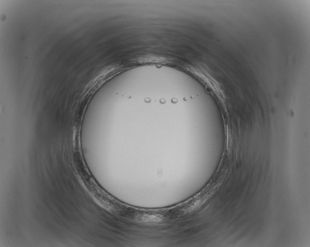 X0000086330157200703300940