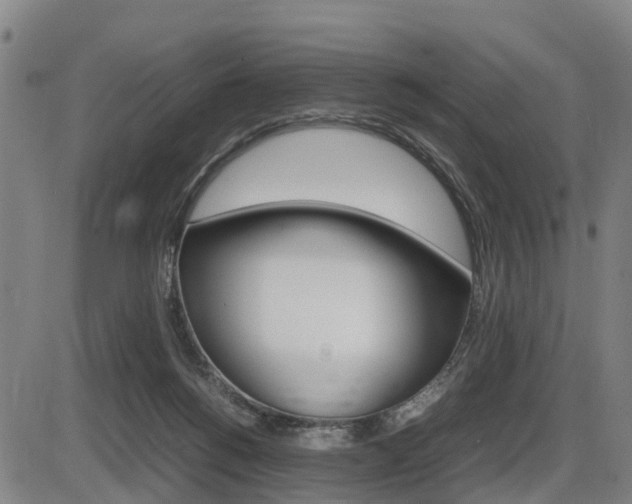 X0000086330168200703300940
