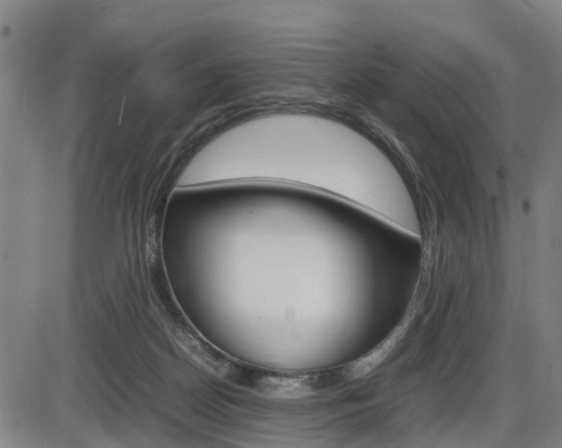 X0000086330170200703300940