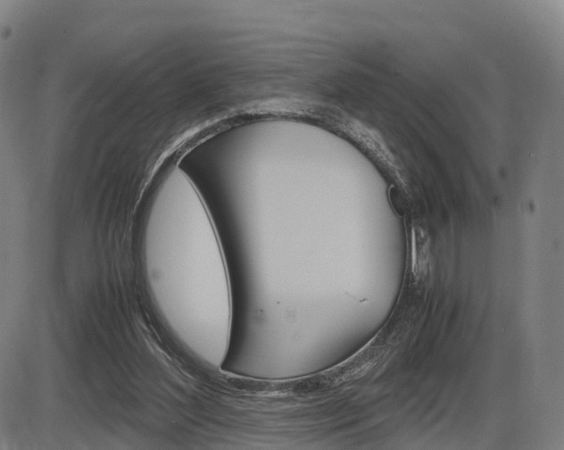 X0000086330204200703300939