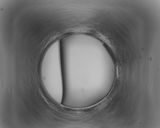X0000086330205200703300939