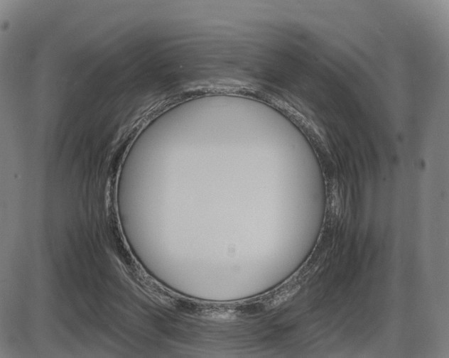 X0000086330206200703300939